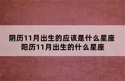 阴历11月出生的应该是什么星座 阳历11月出生的什么星座